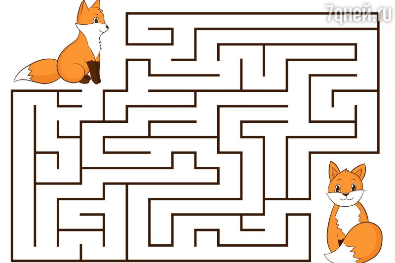Лабиринт лиса для детей