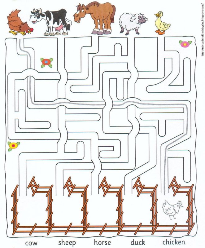 Лабиринт Дикие животные