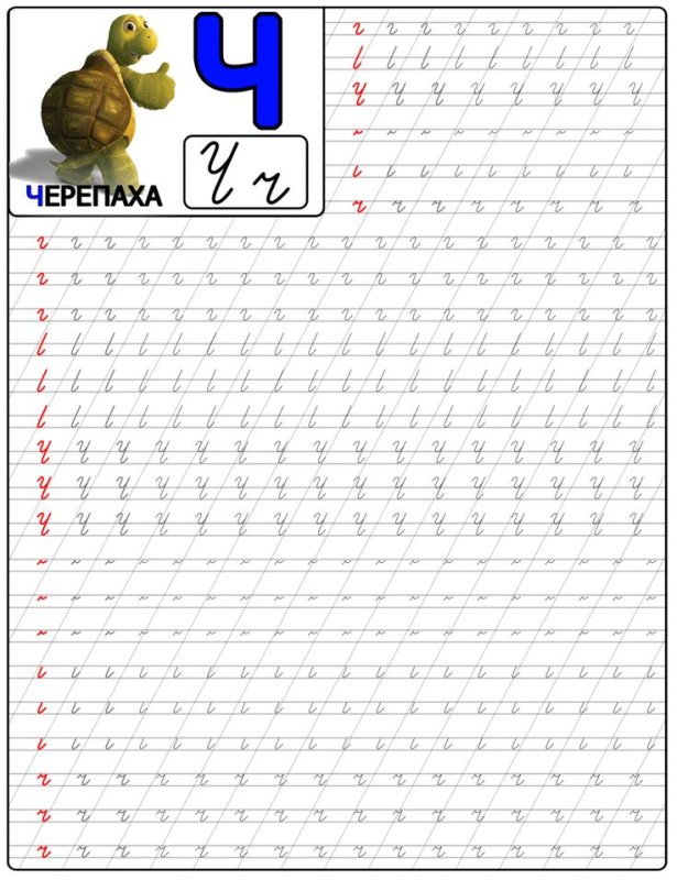 Прописи для дошкольников буквы прописные буква а