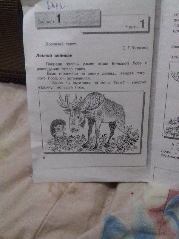 Лось был в лесу прописи 1 класс