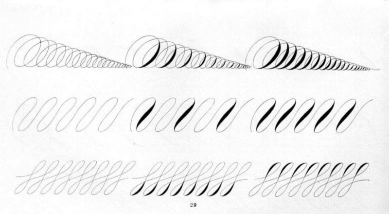 Каллиграфические прописи