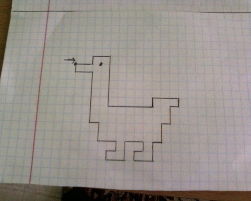 Графический диктант по клеткам Гусь