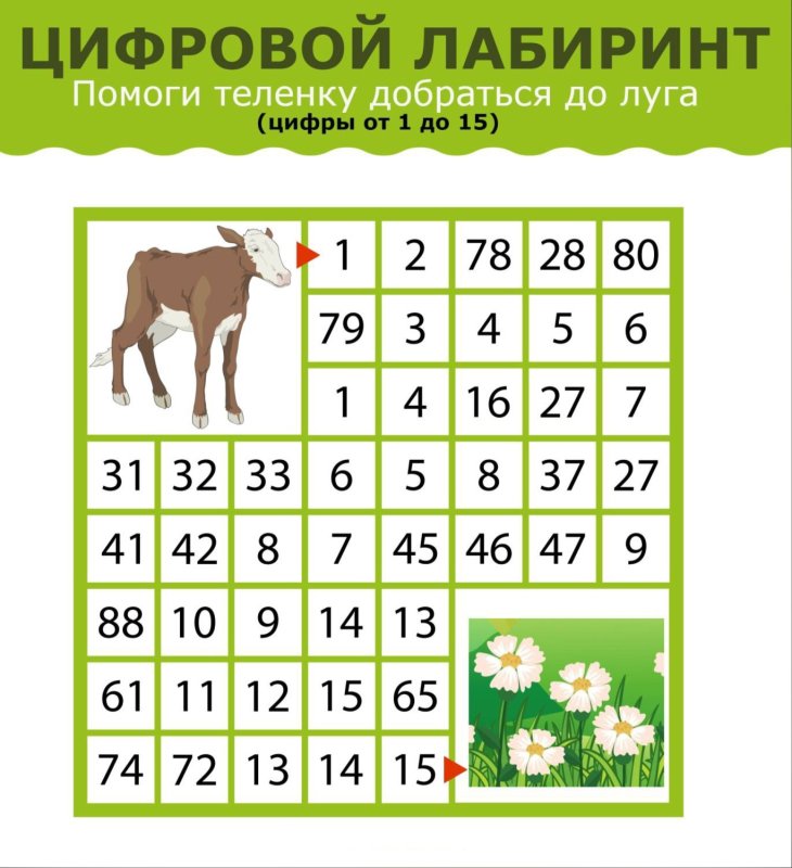 Числовой Лабиринт для детей 6-7 лет