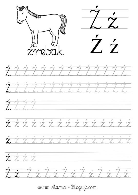 Прописи польского алфавита