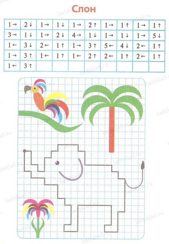 Математический диктант по клеточкам для дошкольников слон