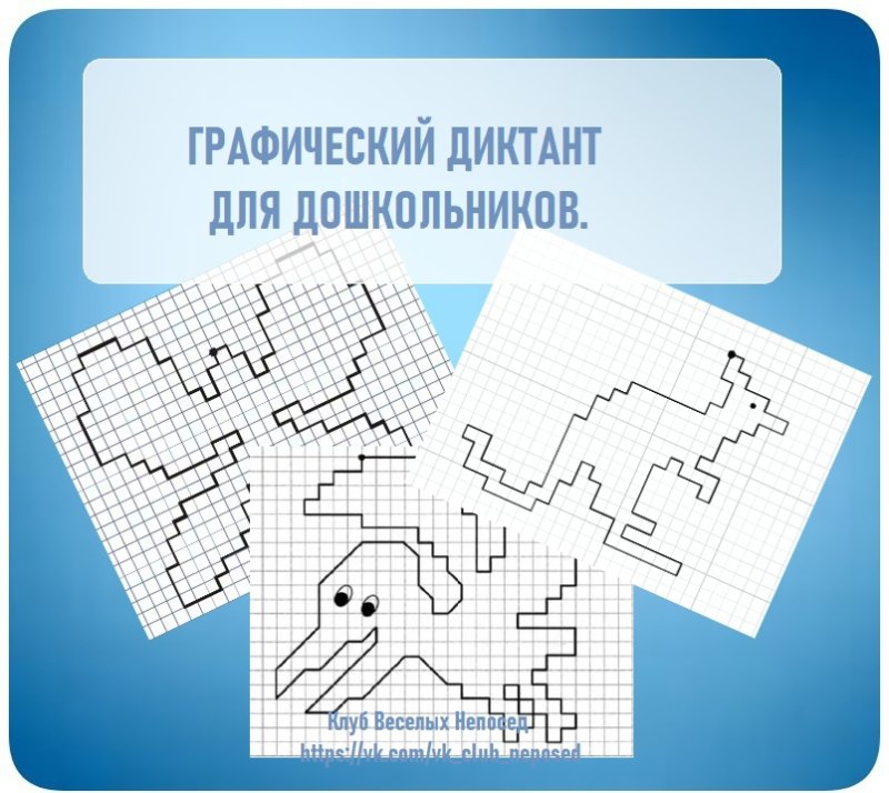 Графический диктант птицы для детского сада