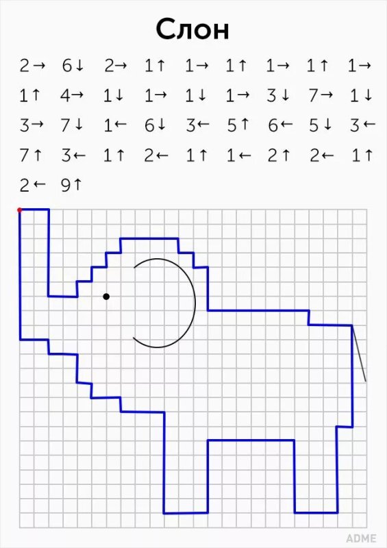 Графический диктант дош