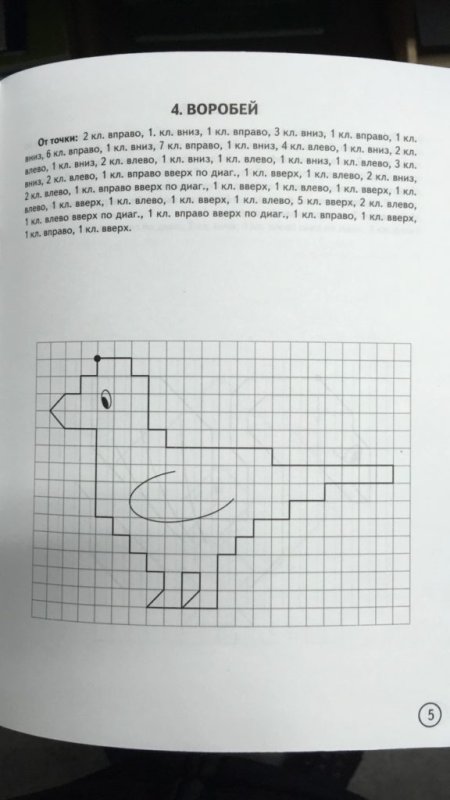 Птицы. Графические диктанты