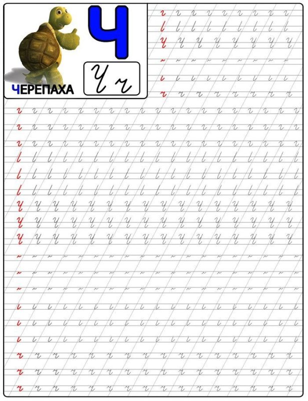 Прописи для дошкольников алфавит прописные буквы