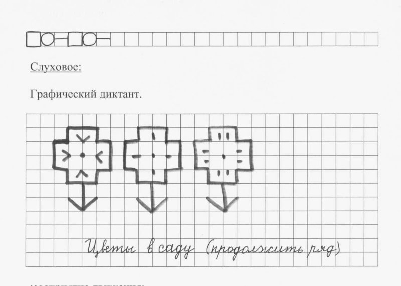Графический диктант растения
