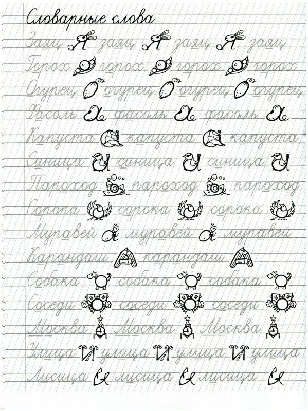 Французские прописи Пушкина