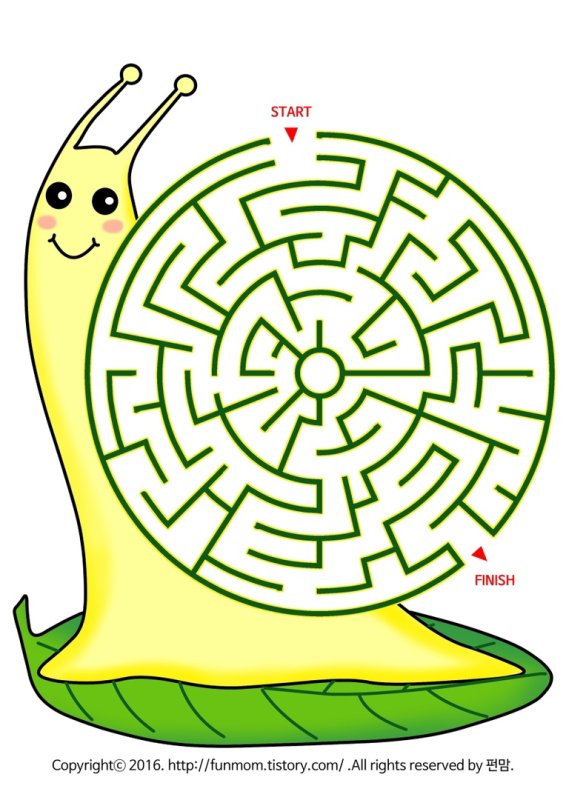 Игра Snail Maze