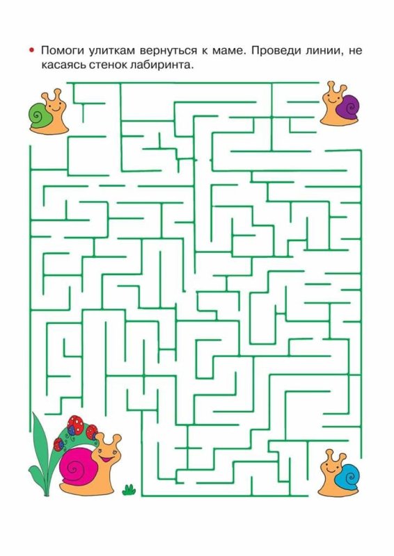 Лабиринт улитка