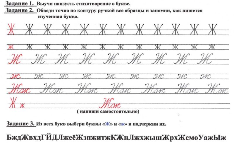 Письмо буквы ж