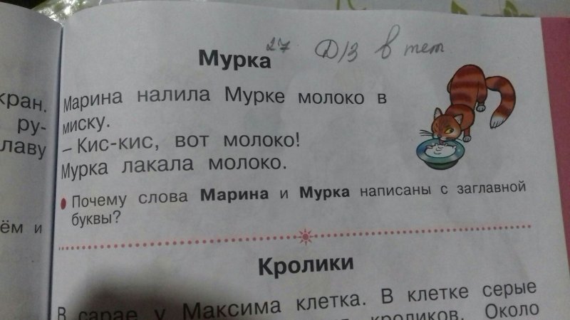 Мурка лакала молоко