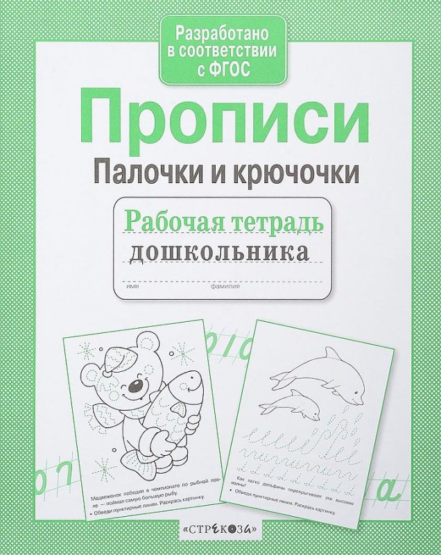 Рабочая тетрадь дошкольника(Стрекоза)прописи.палочки и крючочки