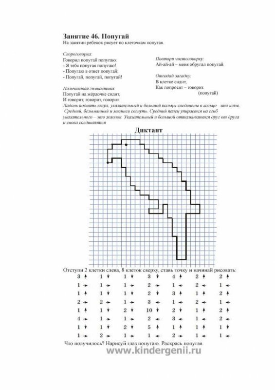 Попугай графический Диу