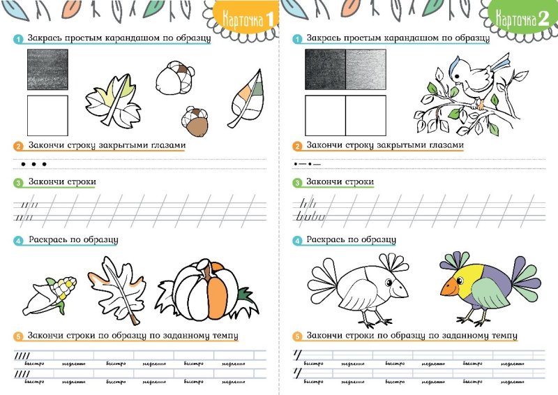 Нейро прописи для дошкольников