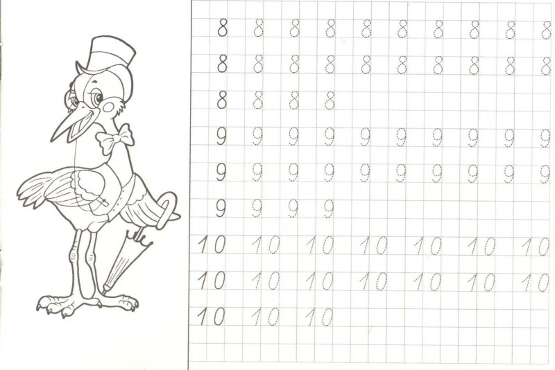 Прописи математика для дошкольников цифры