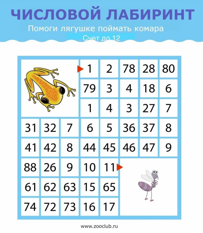 Числовий лабыринт для лытей