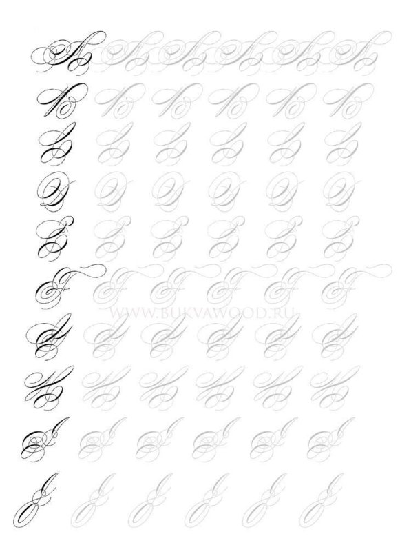 Тренировка каллиграфического почерка