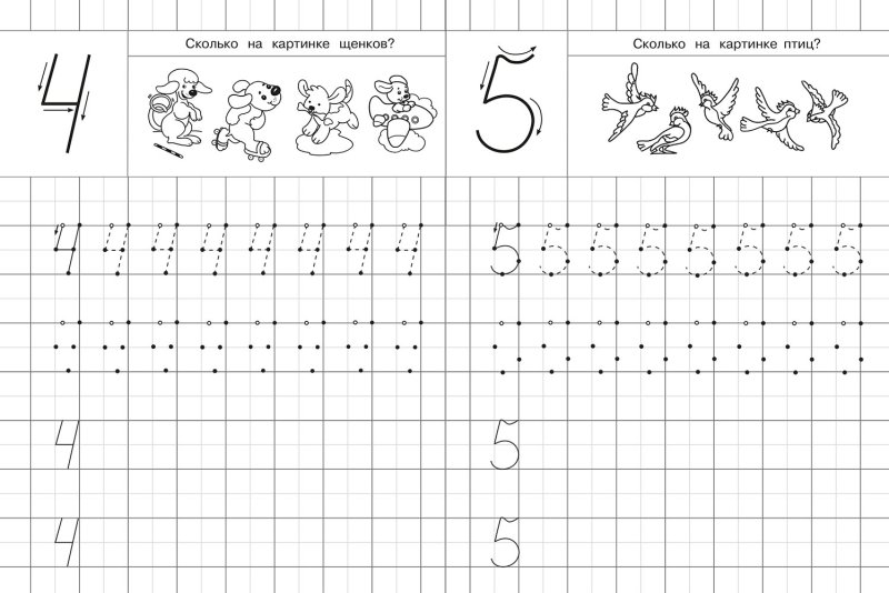 Учимся писать цифру 5 пропись
