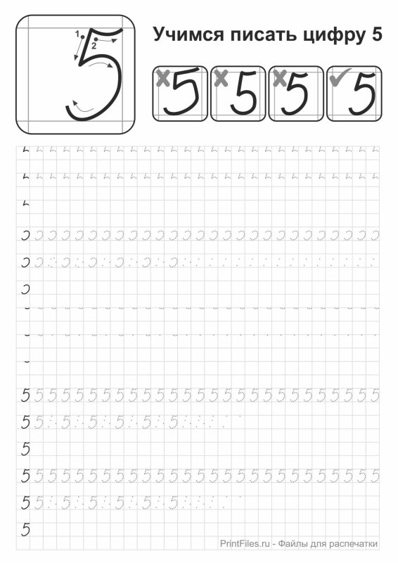 Прописи для детей цифра 5