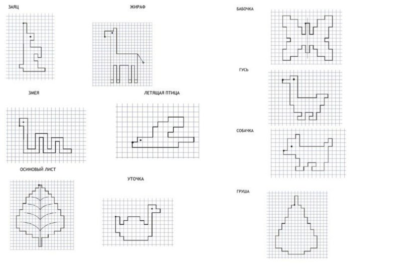 Математический диктант птица для дошкольников