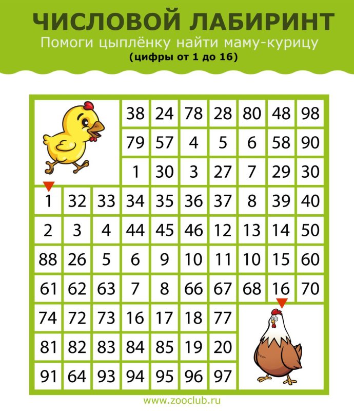 Числовий лабыринт для лытей