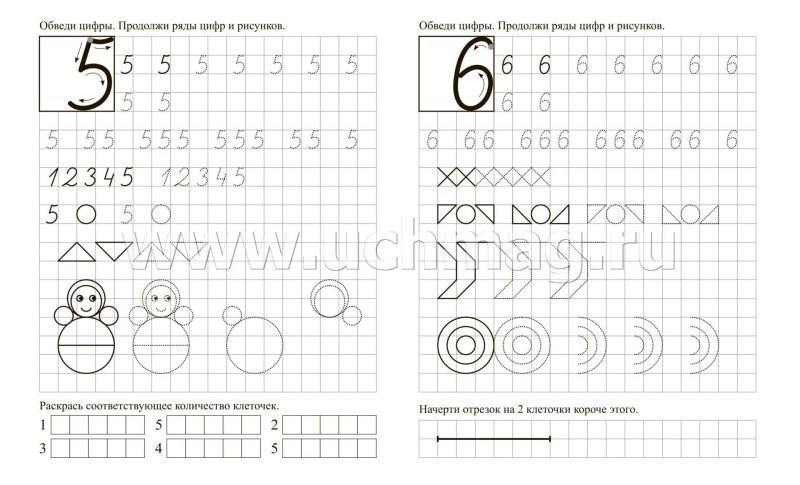 Цифра 6 пропись для дошкольников