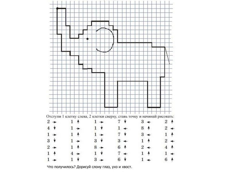 Клеточный диктант для дошкольников 1 класс