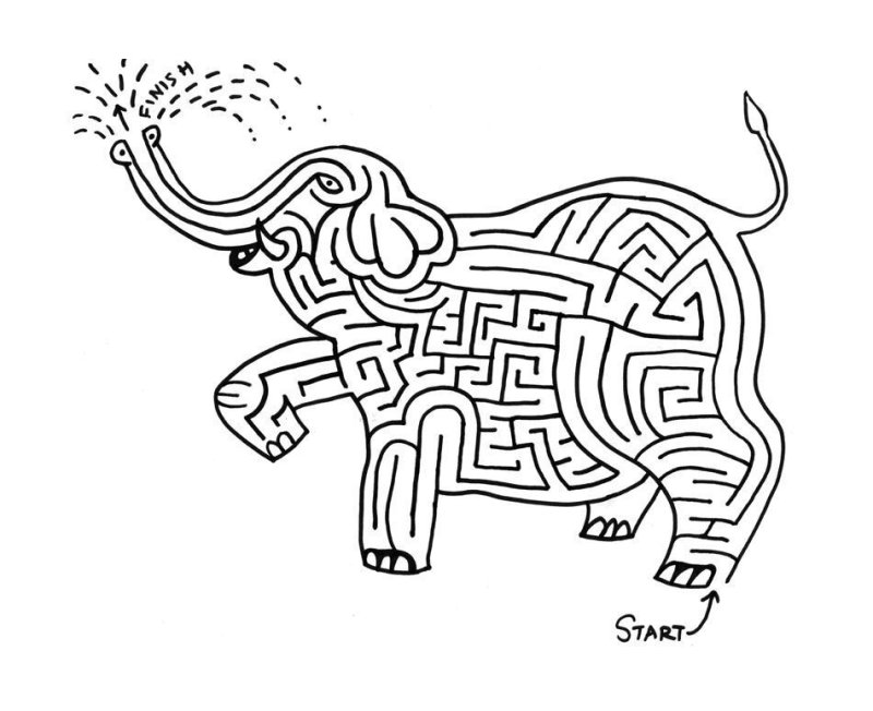 Лабиринты в виде животных