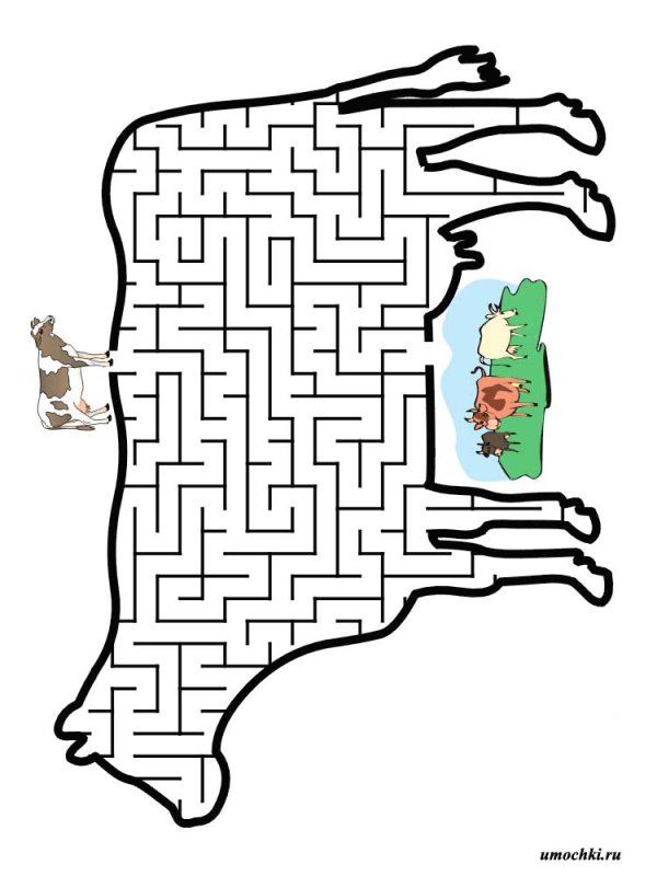 Лабиринты для детей