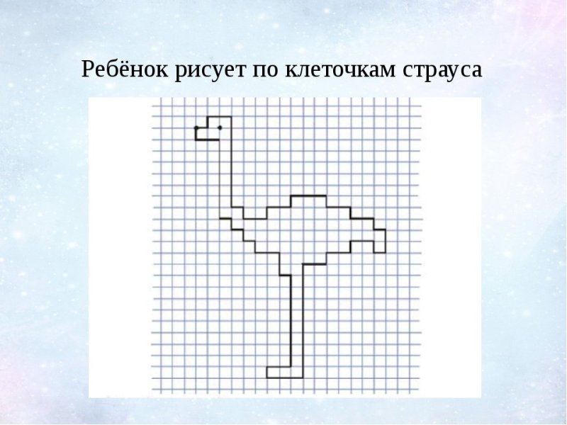 Графический диктант для дошкольников