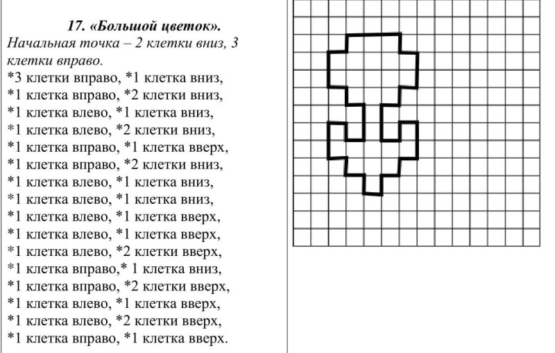 Графический диктант для дошкольников цветочек
