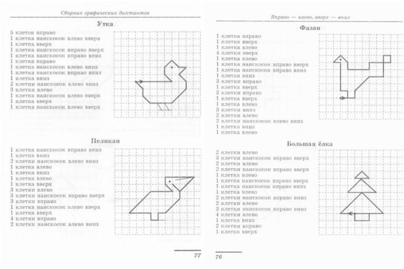Графический диктант зимующие птицы