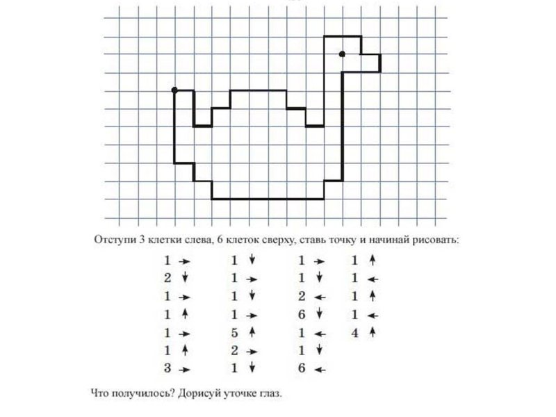 Математический диктант по клеточкам для дошкольников 6-7 птица