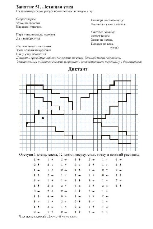 Графические диктанты. Птицы (для детей 4-6 лет)