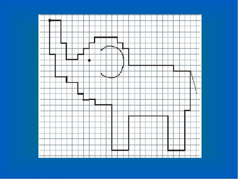 Графический диктант по клеточкам