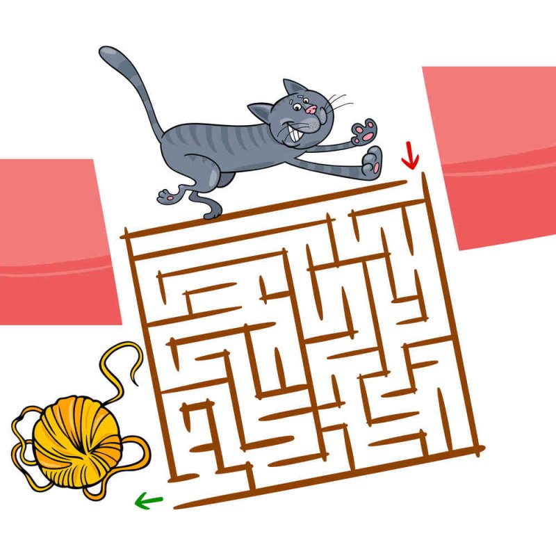 Лабиринт "кошка"