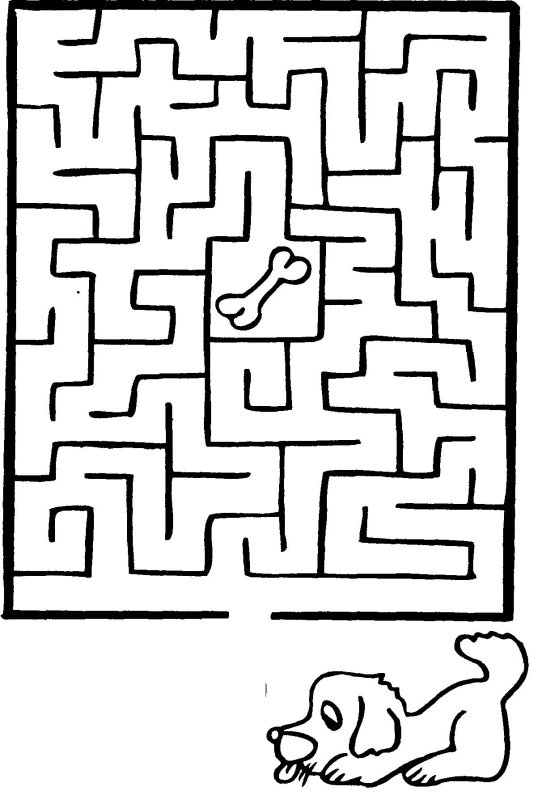 Задание Лабиринт для детей 5-7 лет