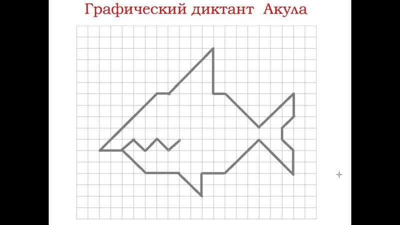 Математический диктант акула
