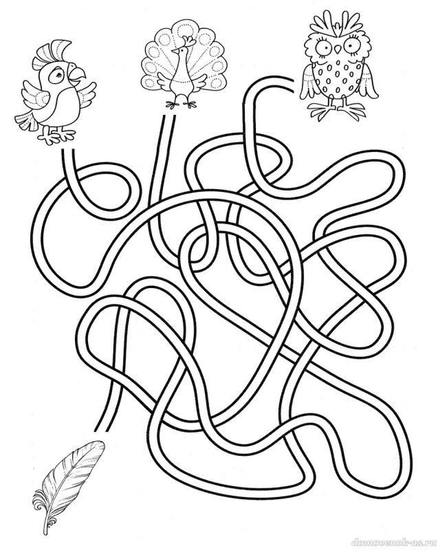 Задания для детей 5 лет лабиринты