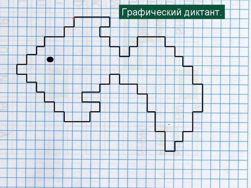 Графические диктанты