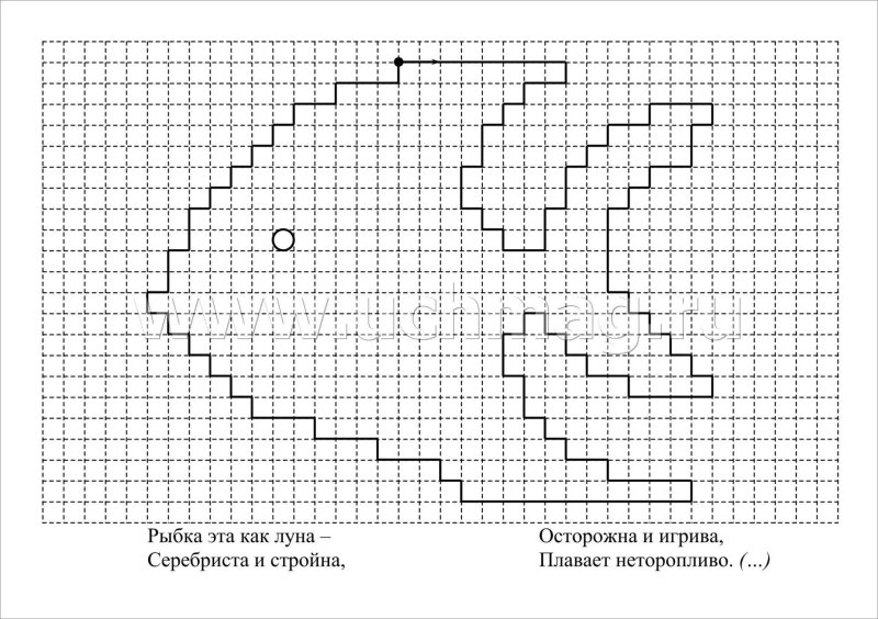Графический диктант по клеточкам