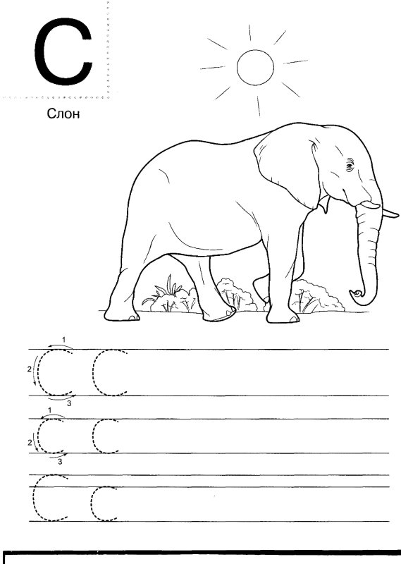 Прописи для дошкольников буквы печатные