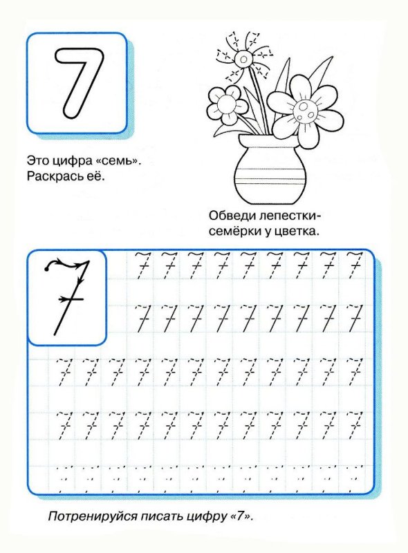 Цифра 7 пропись для дошкольников