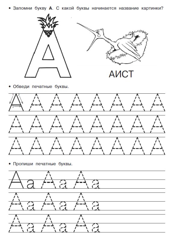 Прописи для дошкольников буквы