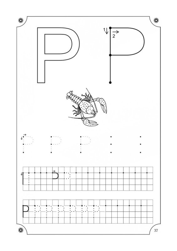 Буква р пропись печатная