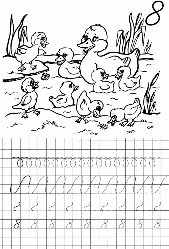 Цифра 8 пропись для дошкольников